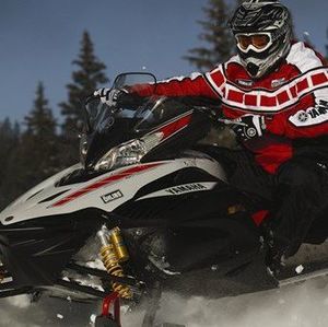 Meet your Posher, Jerry